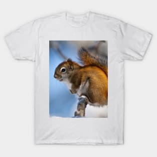 Red Squirrel T-Shirt